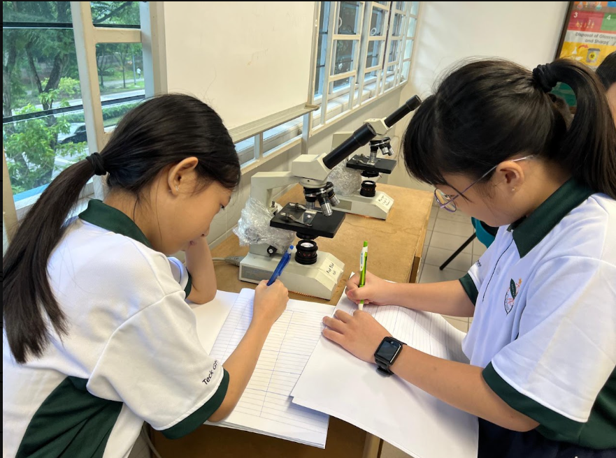 Students engaged in learning about science